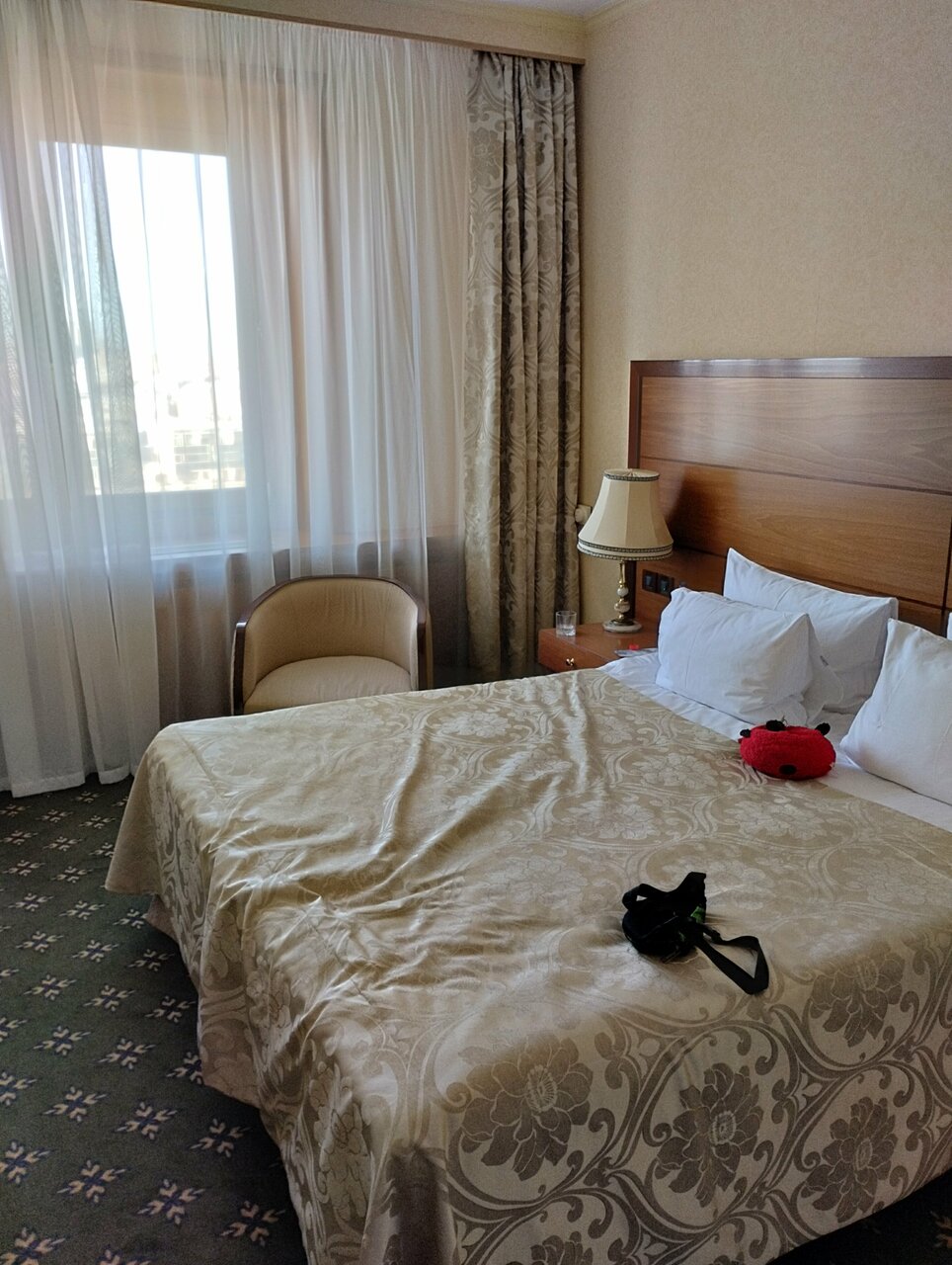 Гостиница Президент-Отель Москва-227