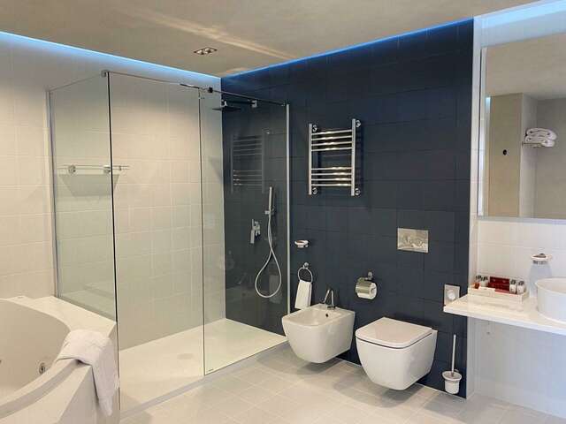 Гостиница Президент-Отель Москва-239