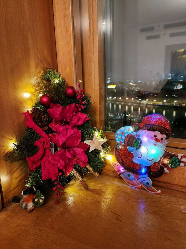 Гостиница Президент-Отель Москва-206